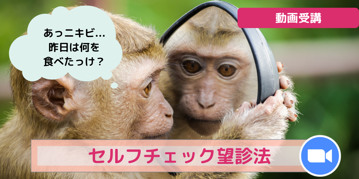 セルチェック望診法動画受講